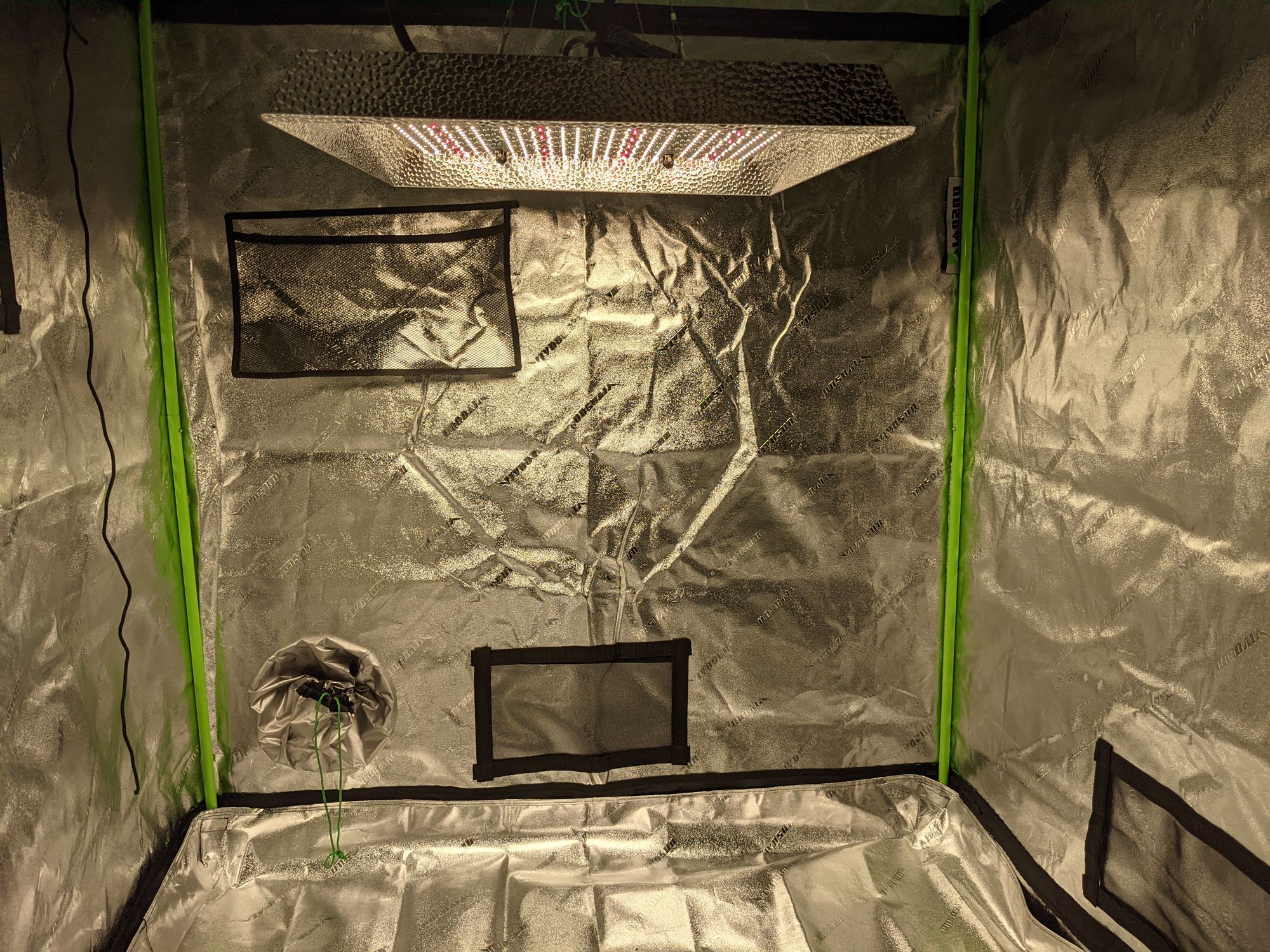 Setting Up the Grow Tent and Starting Some Seedlings