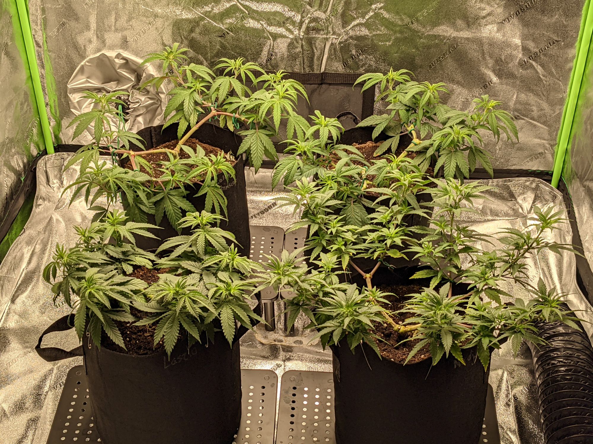 Day 74